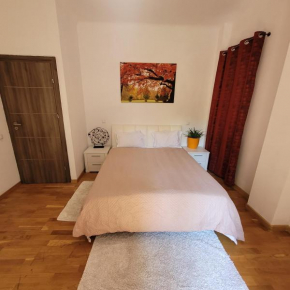 Anastasia Balcescu Apart 4 Self Check in Code from 2PM Kitchen and Bedroom